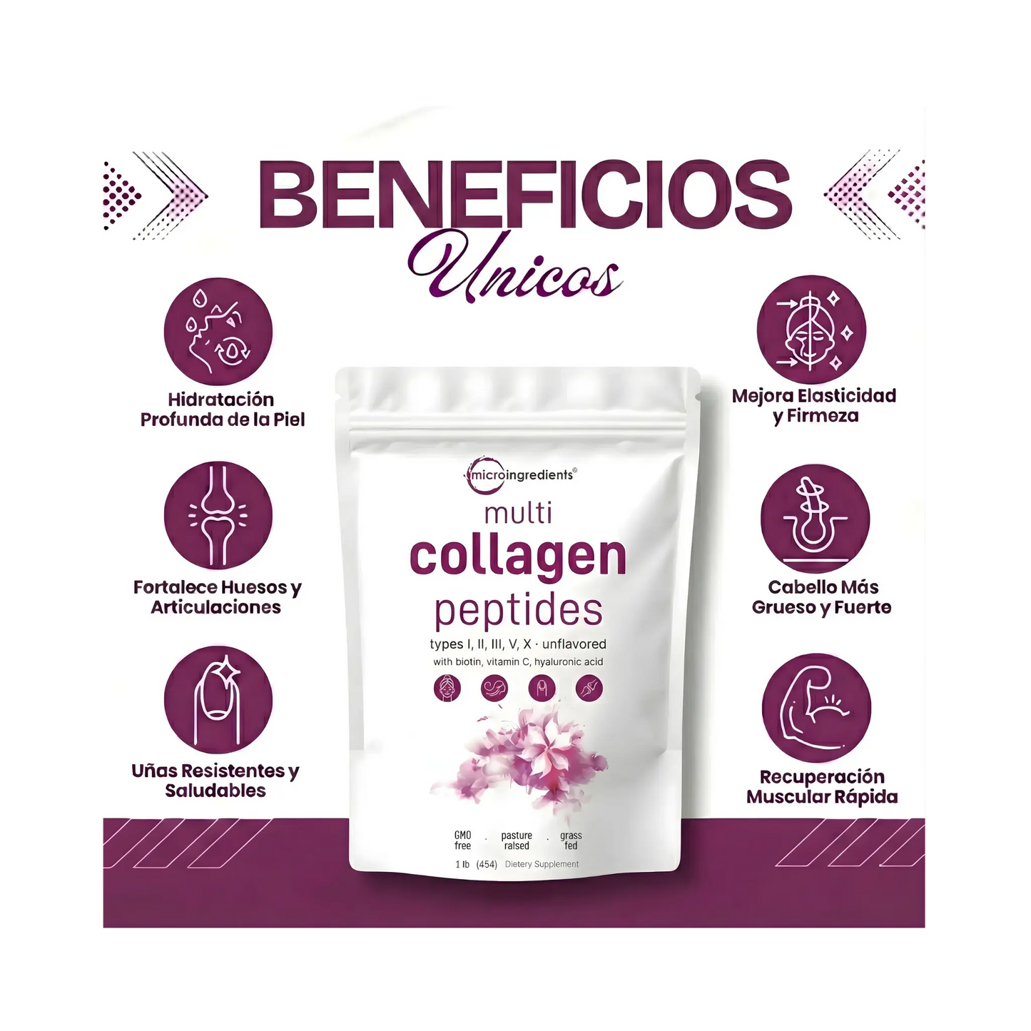 Multicollagen Peptides